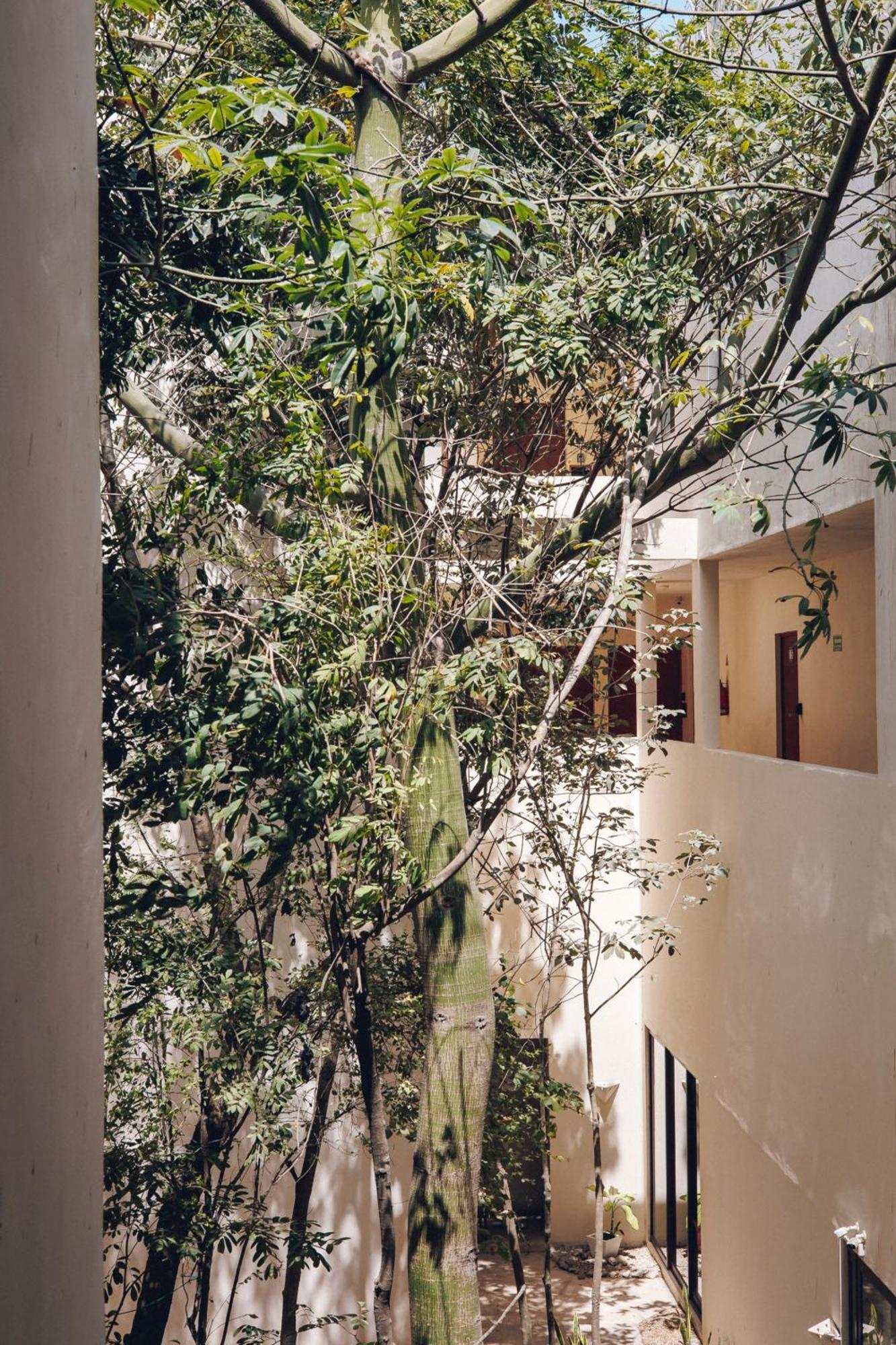 2 Bikes Free Exlusive Building Close To The Sea ตูลุม ภายนอก รูปภาพ